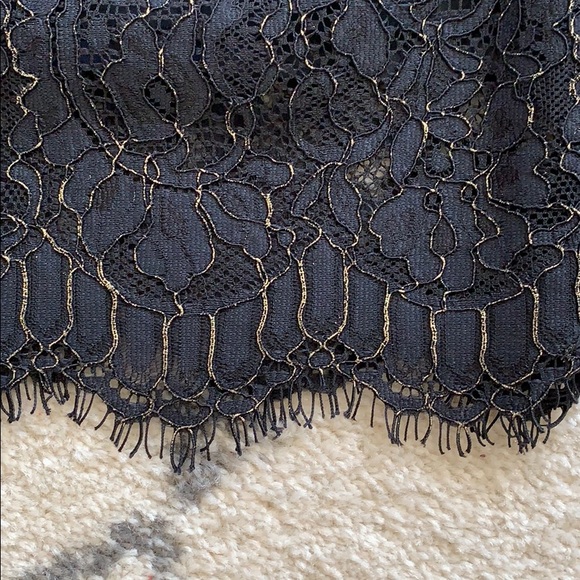 Banana Republic Lace Skirt - Picture 3 of 3